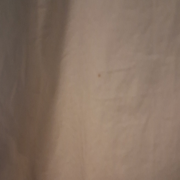 Madewell White Dress with Blue Floral Accents - Picture 8 of 15